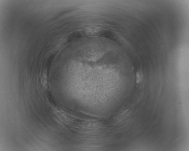 X0000054451011200508121905