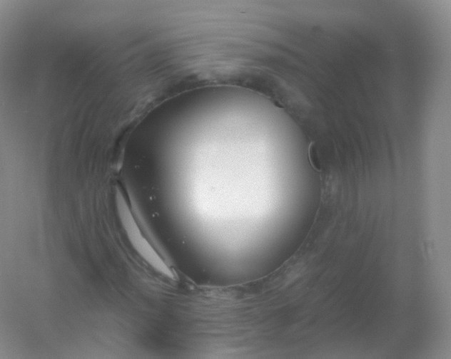 X0000054451012200508121905