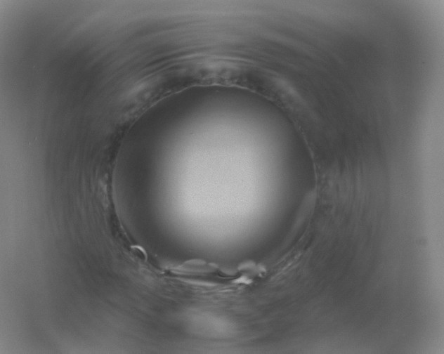 X0000054451013200508121905