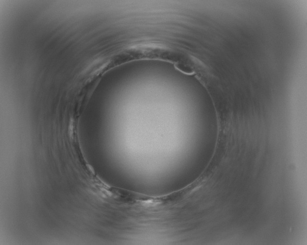 X0000054451014200508121905