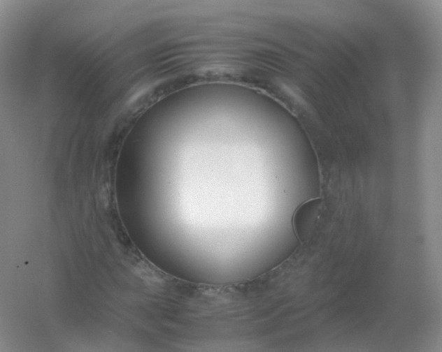 X0000054451015200508121905