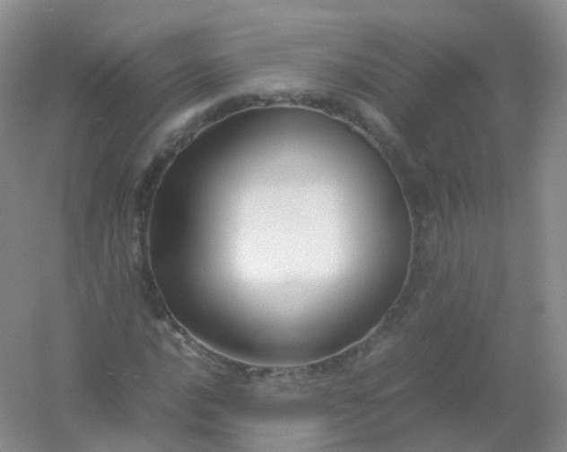 X0000054451016200508121905
