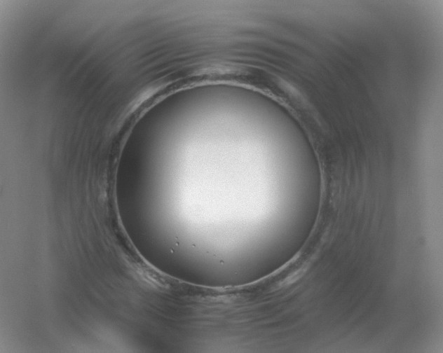 X0000054451017200508121905