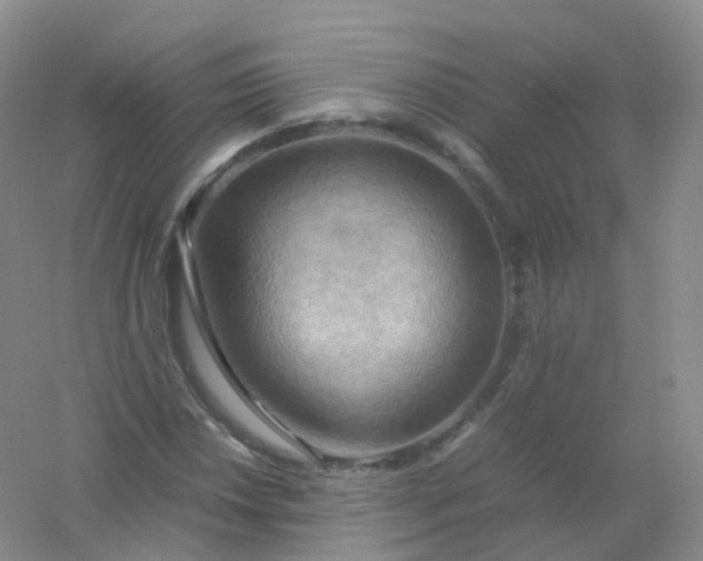 X0000054451018200508121905