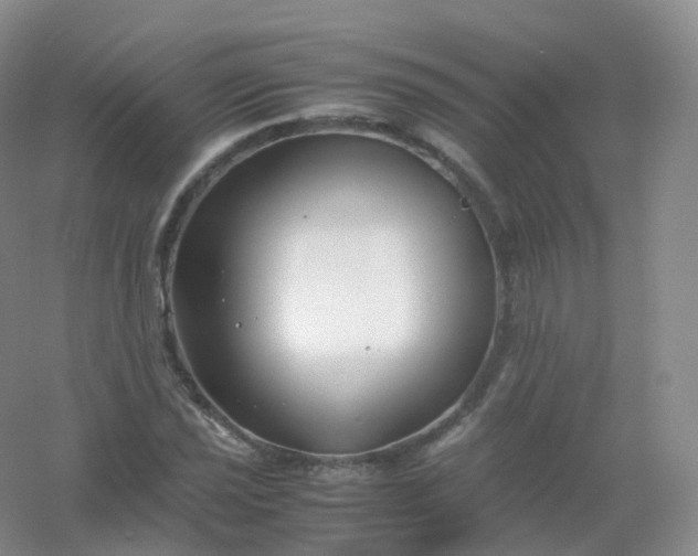 X0000054451021200508121905