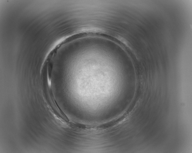 X0000054451022200508121905
