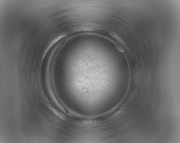 X0000054451026200508121905