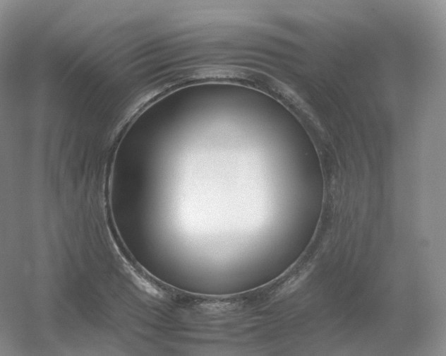 X0000054451033200508121905
