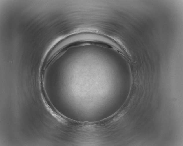 X0000054451038200508121905