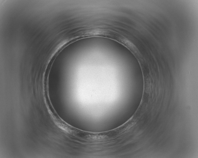 X0000054451039200508121905