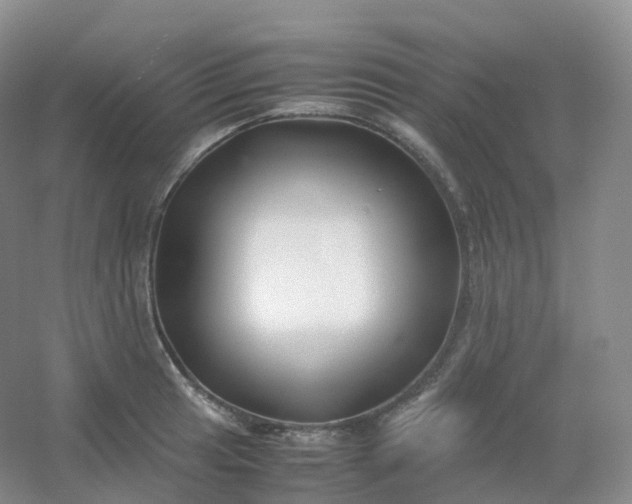 X0000054451041200508121905