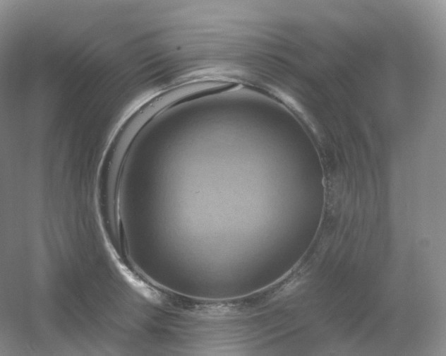 X0000054451042200508121905