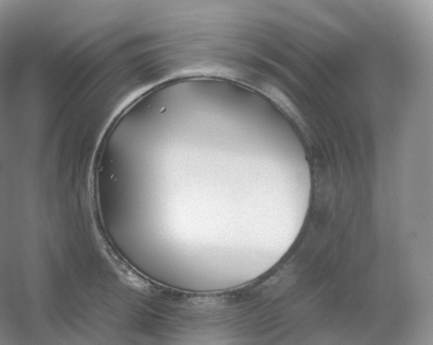X0000054451044200508121906