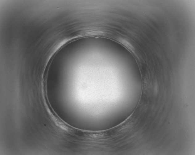 X0000054451047200508121906
