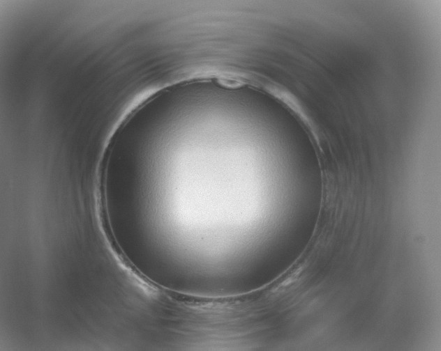 X0000054451048200508121906