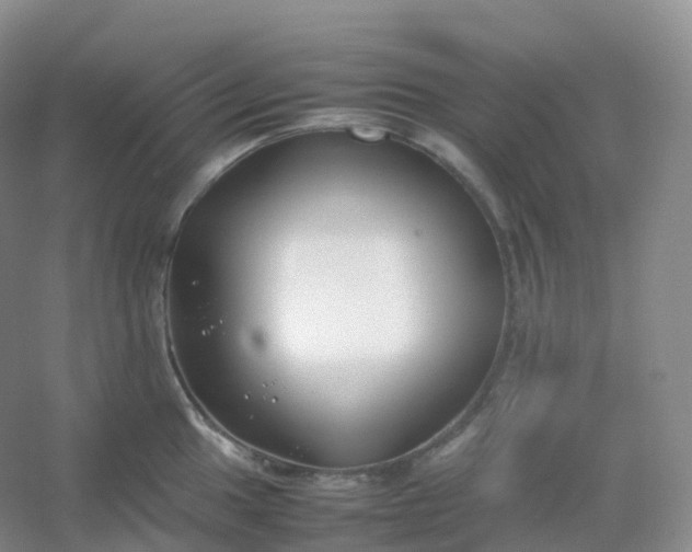 X0000054451049200508121906