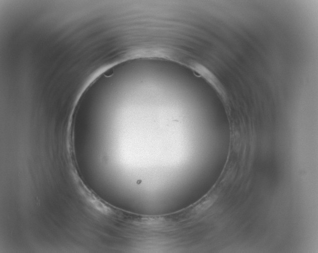 X0000054451052200508121906