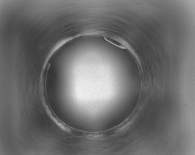 X0000054451053200508121906