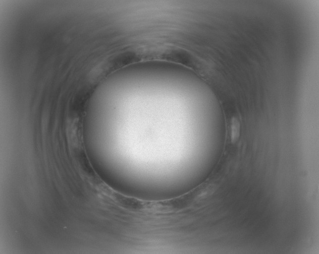 X0000054451059200508121905