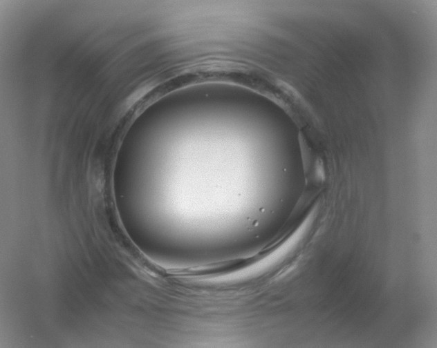 X0000054451065200508121905
