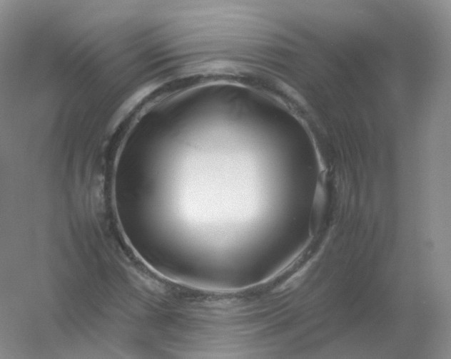 X0000054451066200508121905