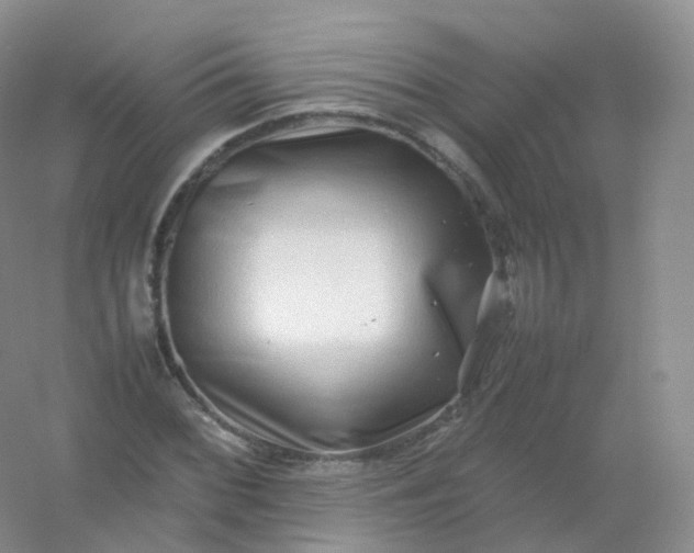 X0000054451068200508121905