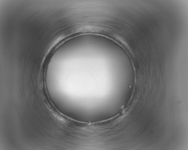 X0000054451075200508121905