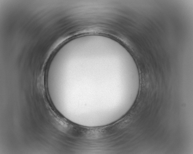 X0000054451078200508121905