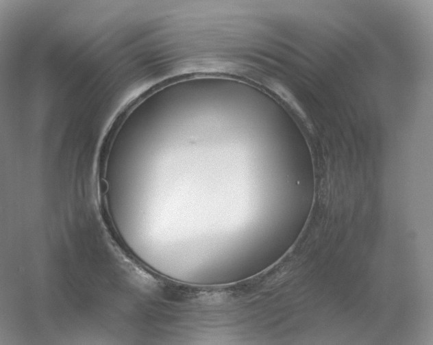X0000054451080200508121904