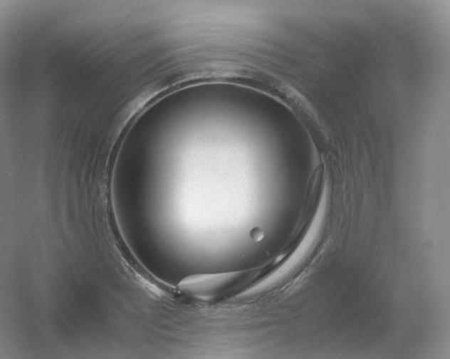 X0000054451081200508121904