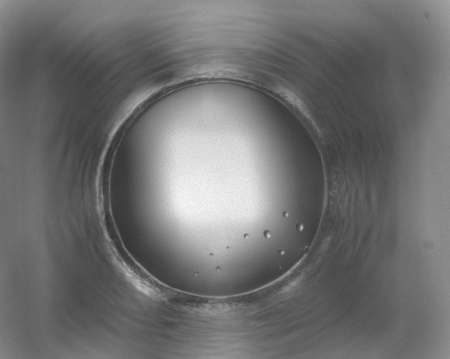 X0000054451082200508121904