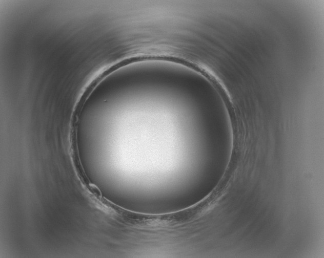 X0000054451085200508121904