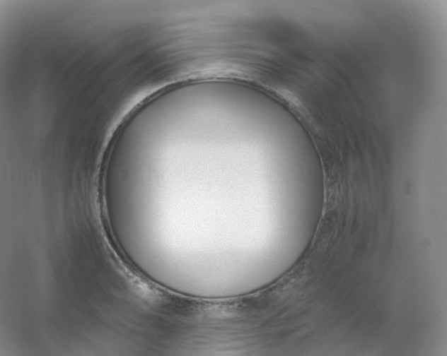 X0000054451086200508121904
