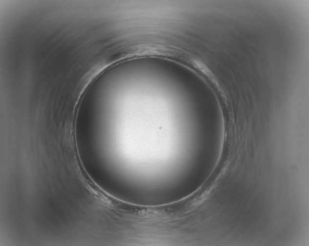 X0000054451089200508121904