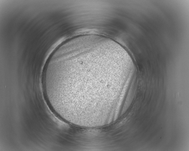 X0000054451090200508121904