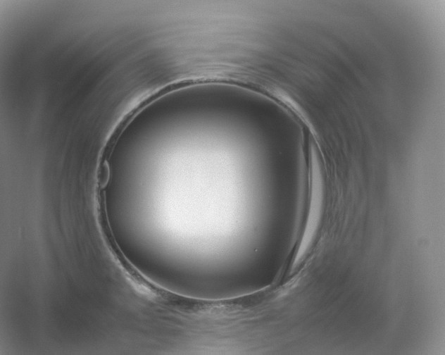X0000054451093200508121904