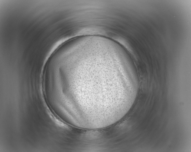 X0000054451094200508121904