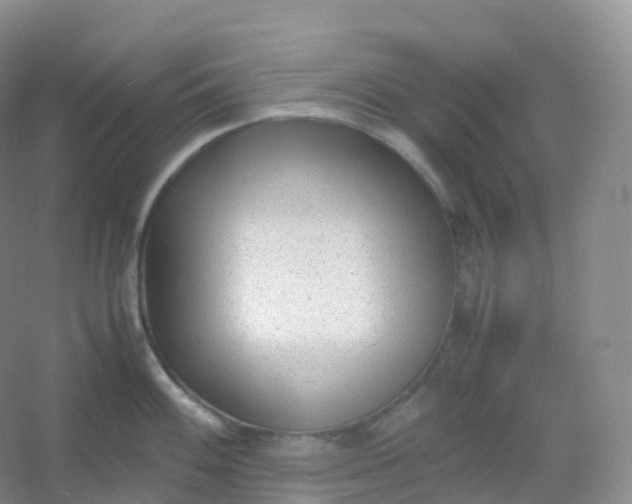 X0000054451100200508121904