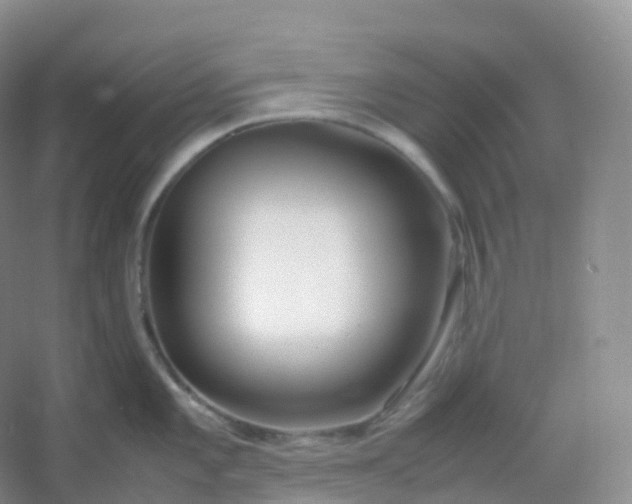 X0000054451101200508121904