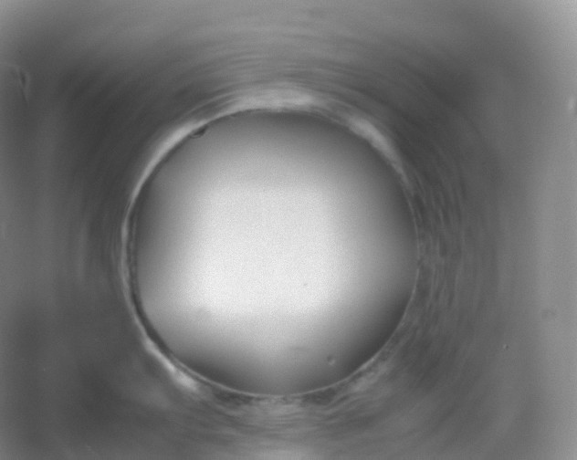 X0000054451103200508121904
