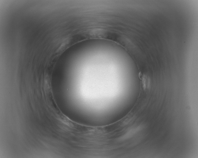 X0000054451107200508121903
