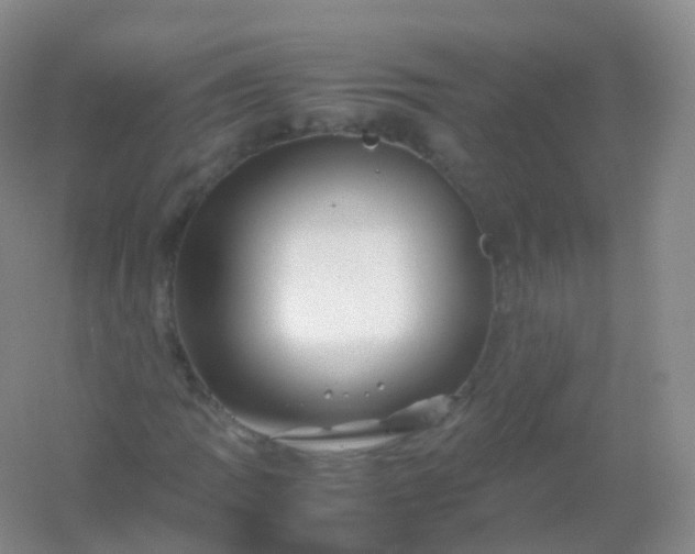 X0000054451109200508121903