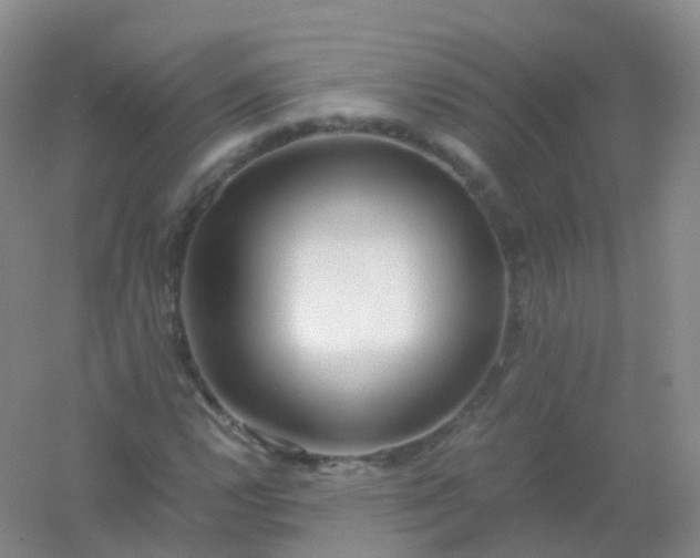 X0000054451112200508121903