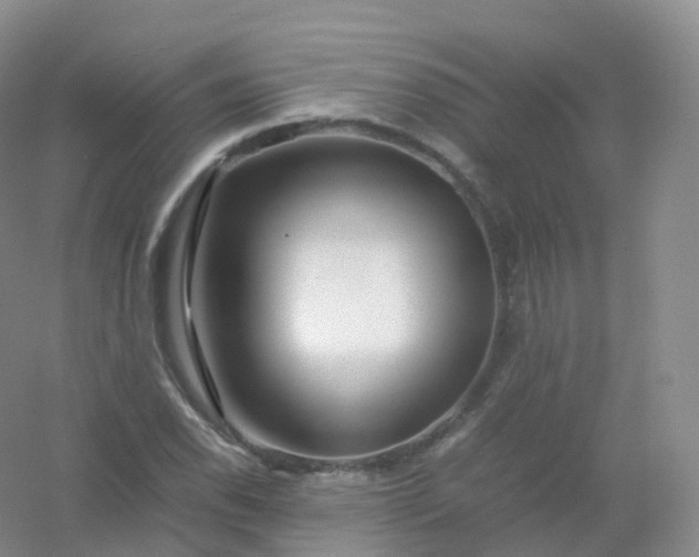 X0000054451118200508121903