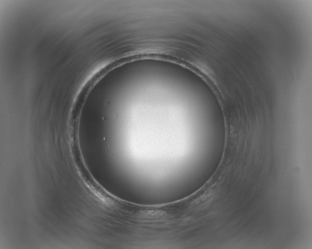 X0000054451119200508121903