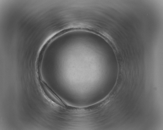 X0000054451120200508121904