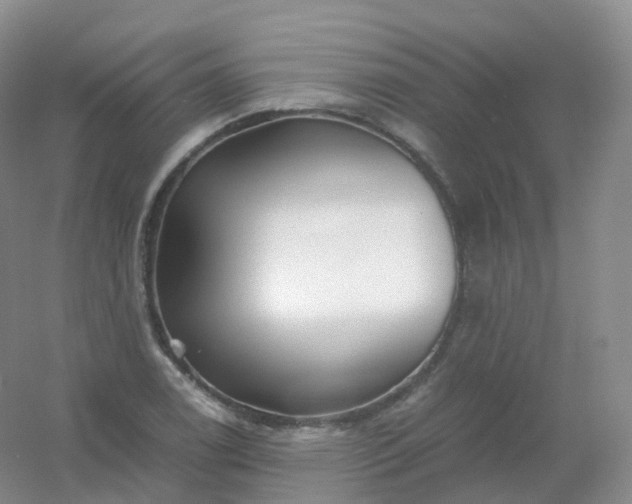X0000054451122200508121904