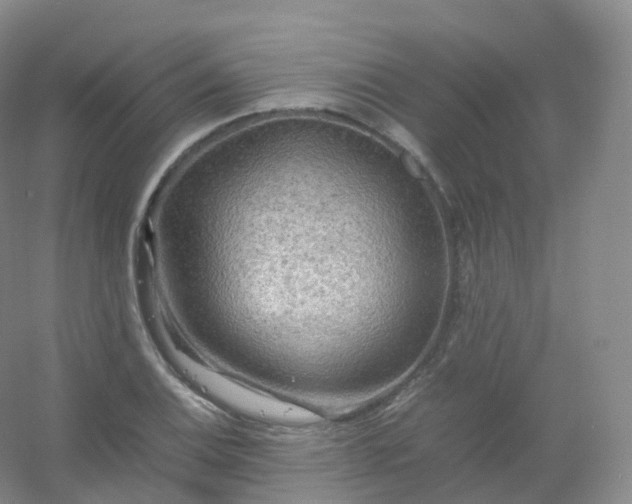 X0000054451124200508121904
