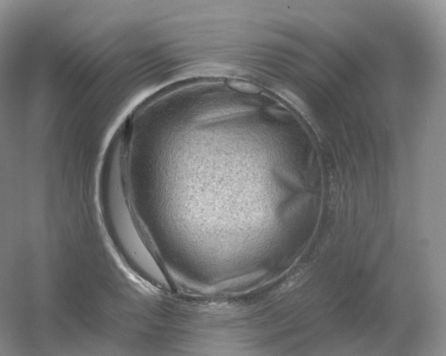X0000054451128200508121904