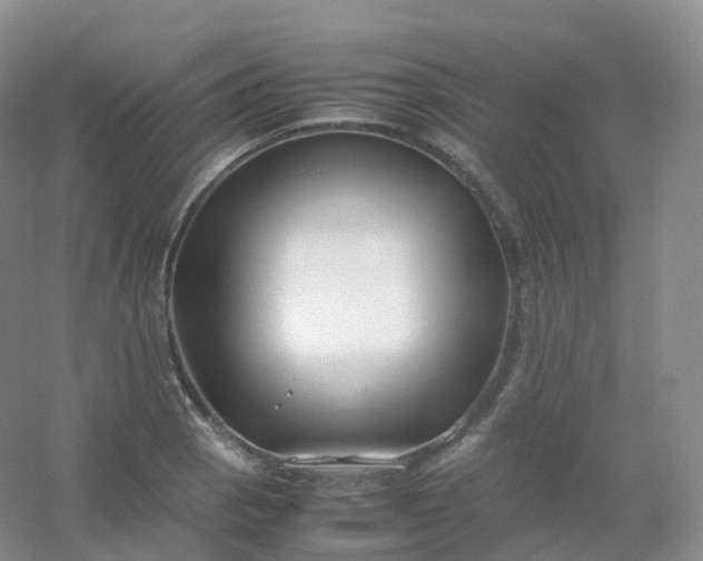 X0000054451129200508121904